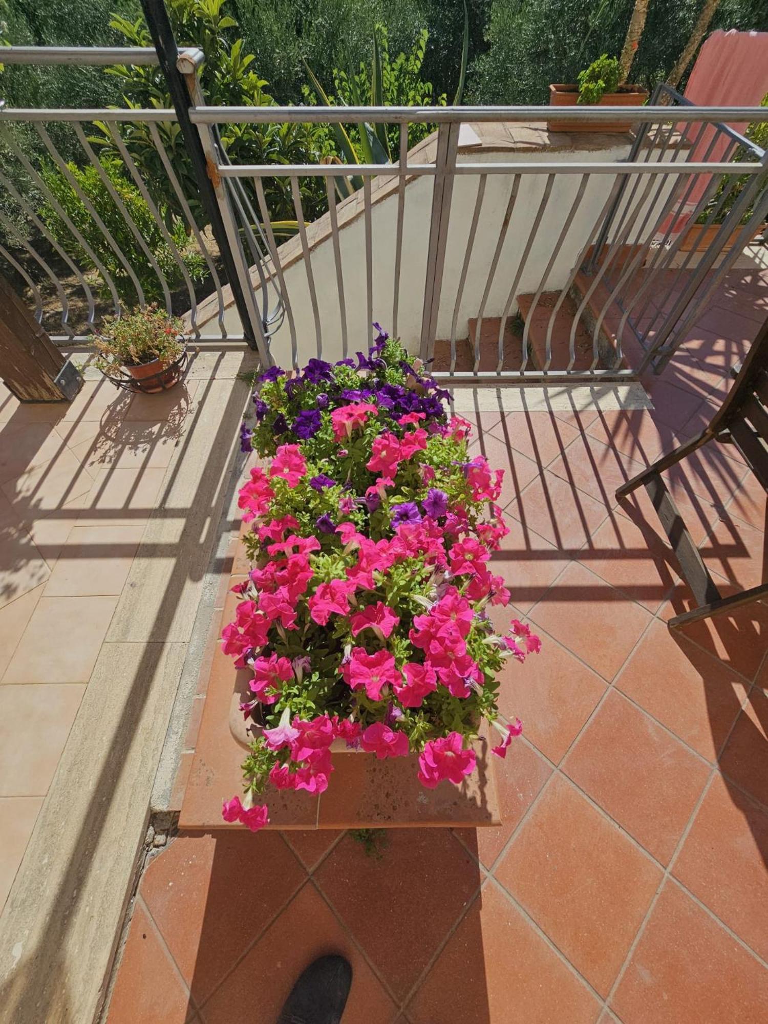 Borgo Vignale Hotel Santuario di Gibilmanna Buitenkant foto